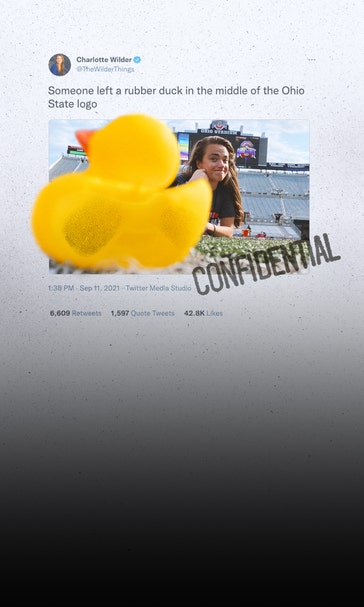 The Mystery Of The Duck